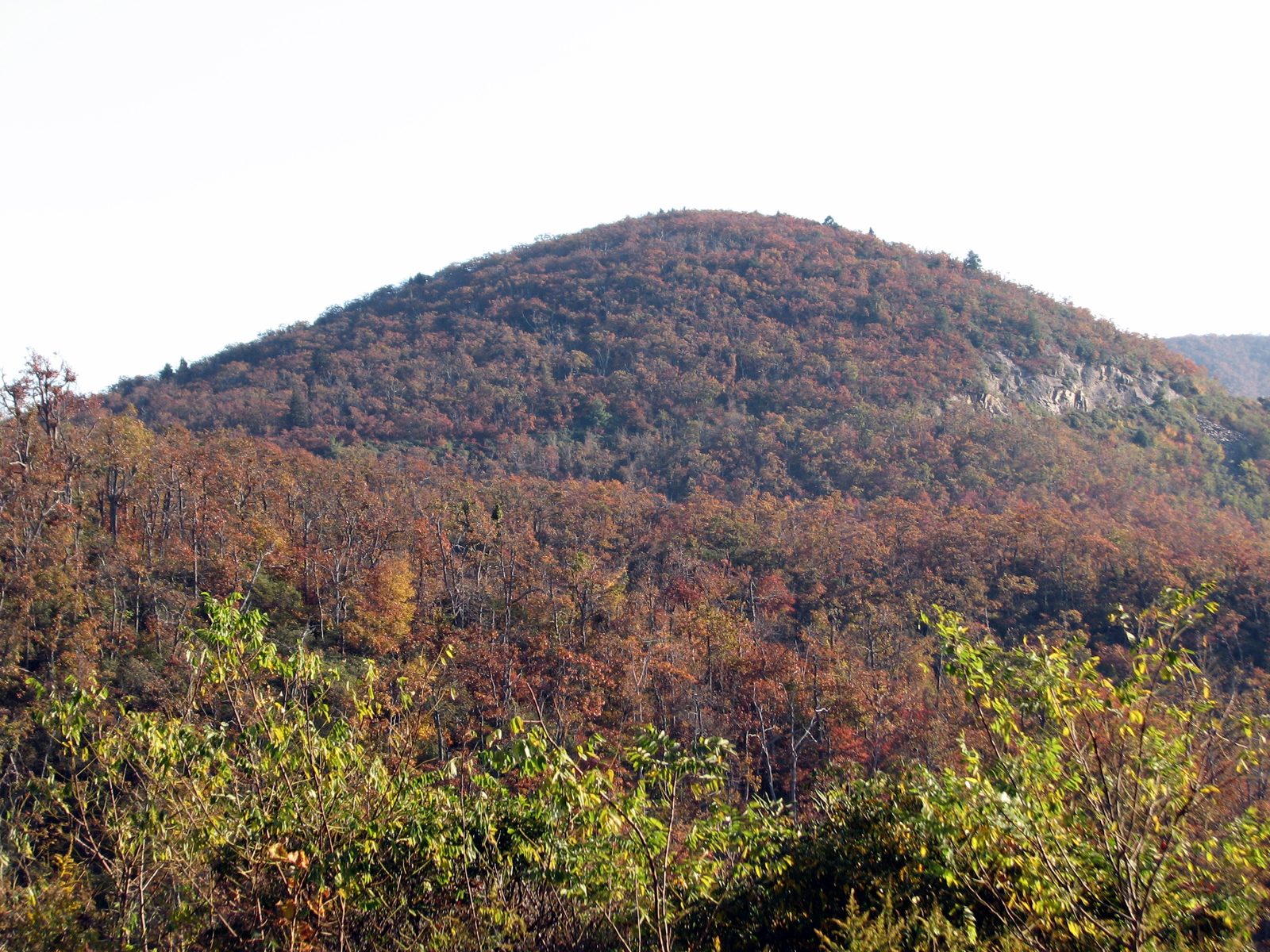 Mountainsides covered in red, orange and gold autumn leaves seen from the Graveyard Fields overlook on the Blue Ridge Parkway