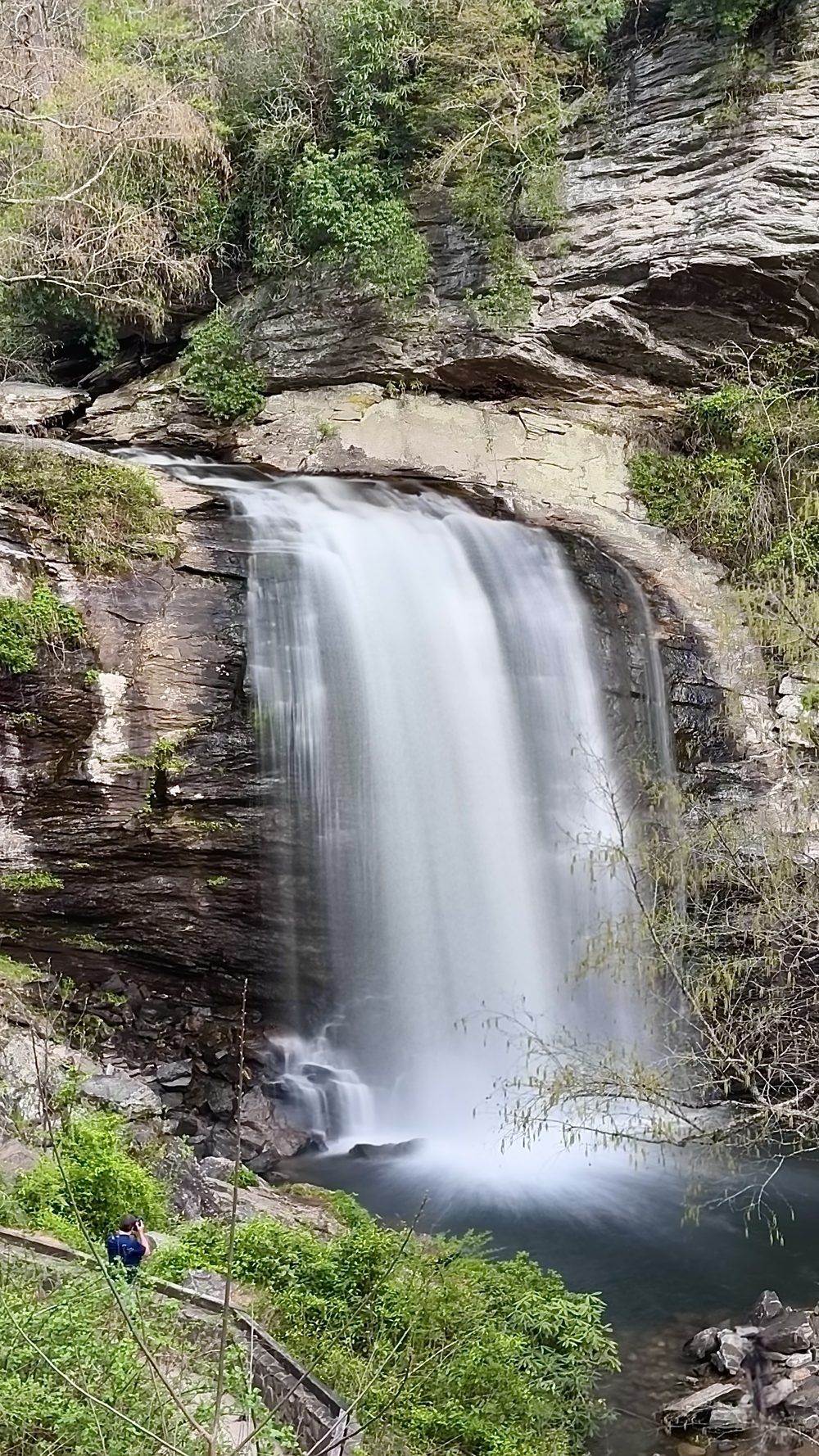 Looking Glass Falls dropping about 60 feet into a pool surrounded by rock and green forest