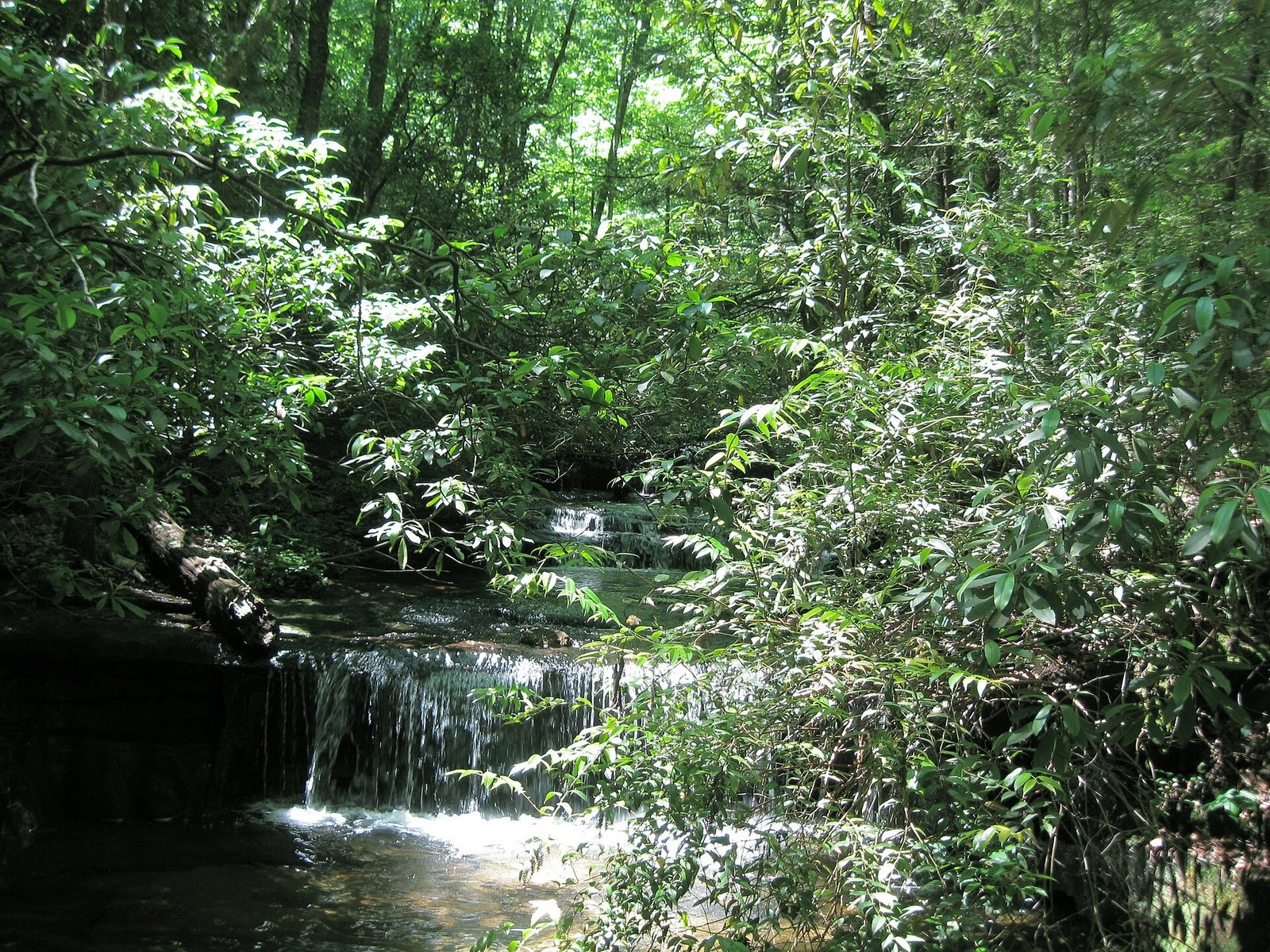 A small waterfall spilling over a rock ledge into a dark pool, surrounded by green summer forest